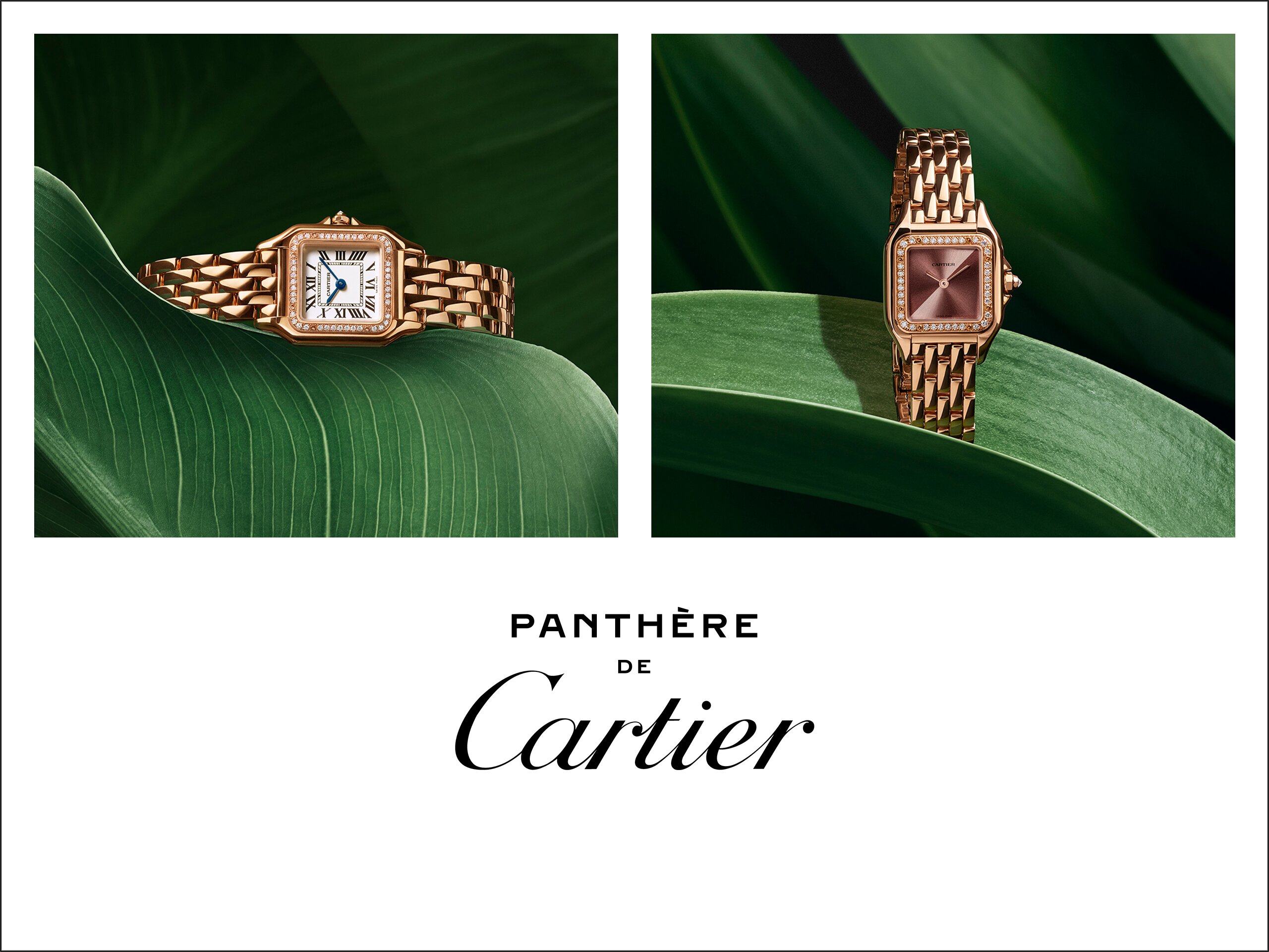 https://www.jarlsandin.se/pub_docs/files/categoryimages/CARTIER_PANTHERE_2560x1920.png